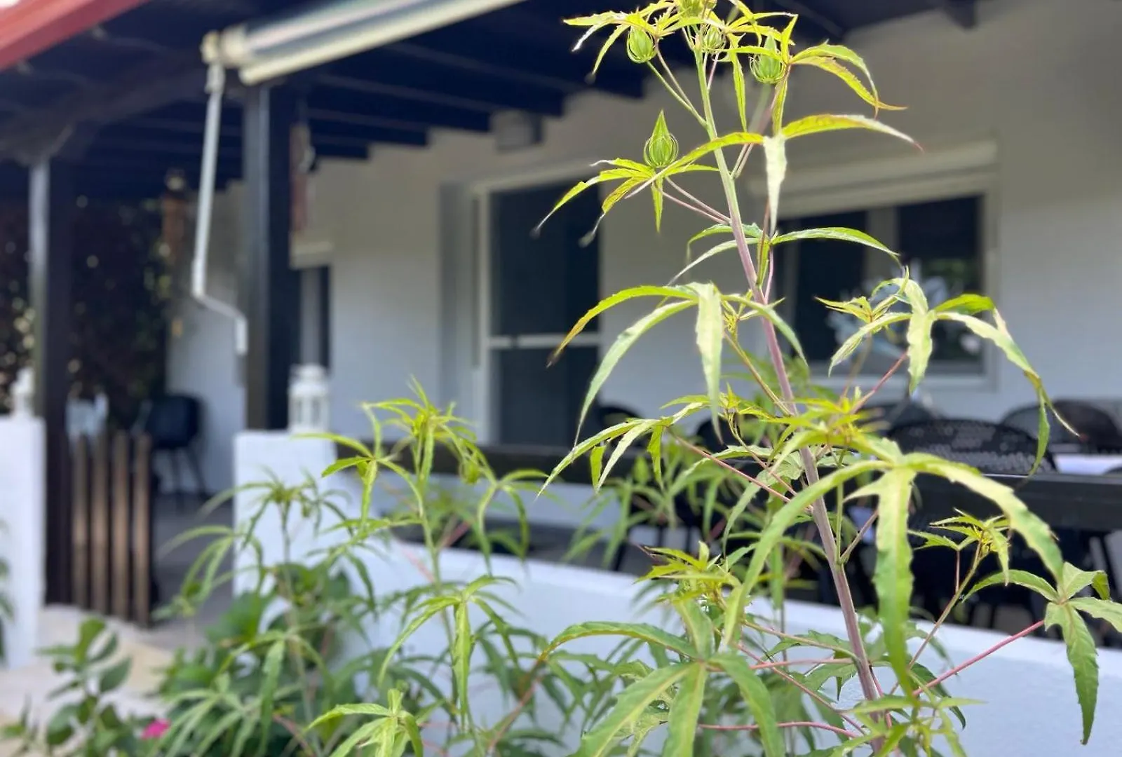 Sias Cozy House Lägenhet Sykia Chalkidikis