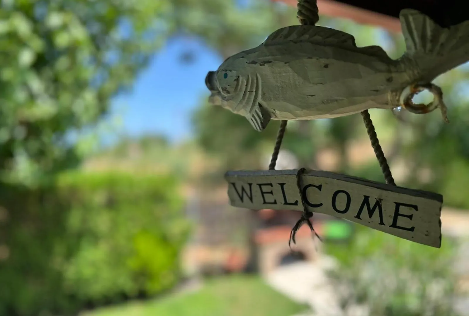Sias Cozy House Lägenhet Sykia Chalkidikis