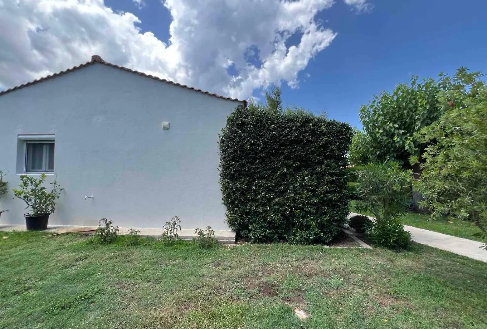 Sias Cozy House Lägenhet Sykia Chalkidikis